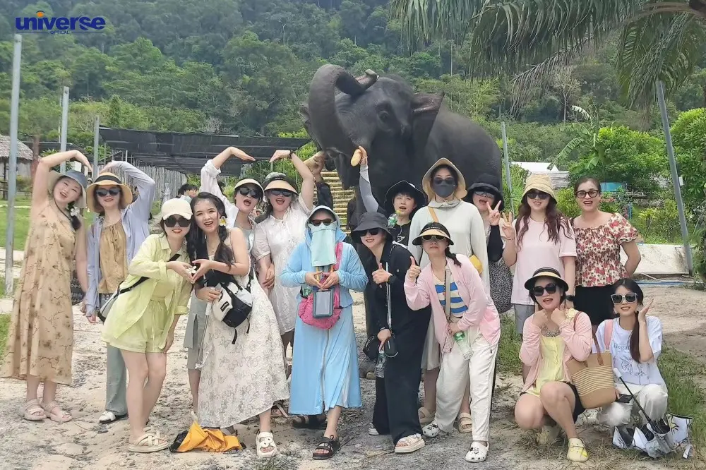 Team presentation (1)